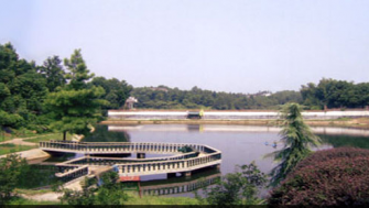 【國(guó)家級(jí)】關(guān)于對(duì)政府采購(gòu)領(lǐng)域嚴(yán)重違法失信主體開展聯(lián)合懲戒的合作備忘錄