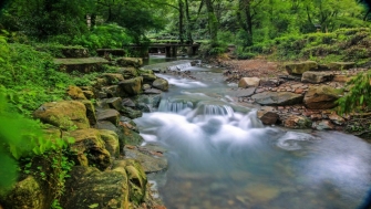 讓天更藍(lán)，水更清——浙江扎實(shí)做好中央生態(tài)環(huán)保督察整改綜述